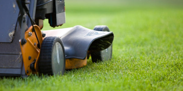 Warren County, PA Lawn Mowing & Maintenance